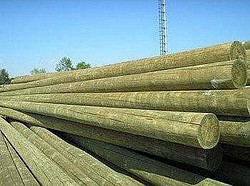 Pylväs Kyllästetty       10M   13Cm Latva