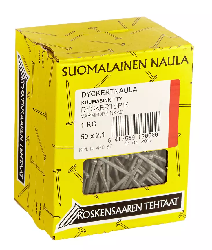 Dyckertnaula kuumasinkitty 50x2,1 1 kg