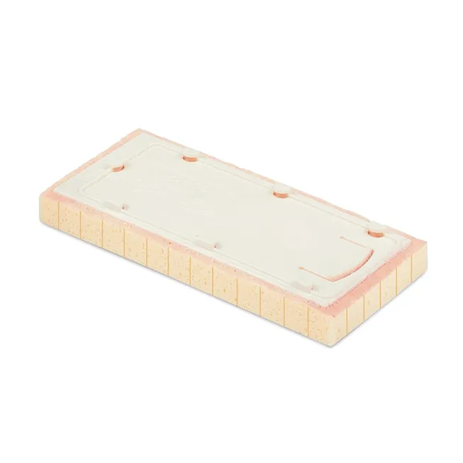 Vaihtosieni 13x30x3cm leikattu Raimondi